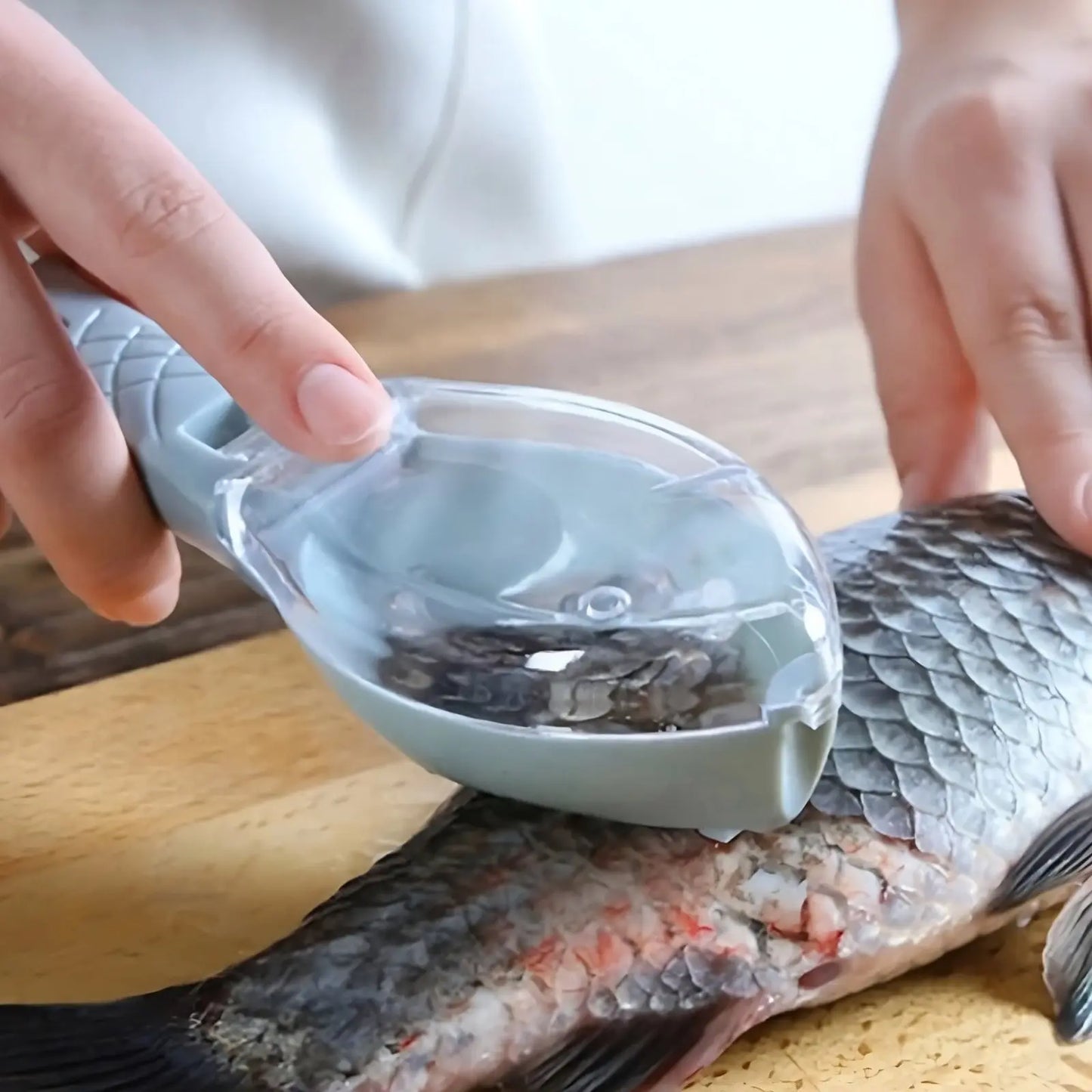 Manual Fish Scaler Scrapper Copperleaf Kitchen